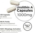 Mitovia Urolithin A supplement facts - 1000mg per serving, 120 capsules